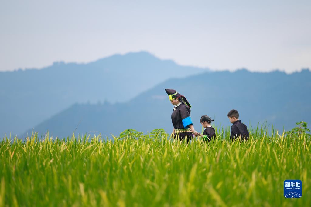 平博pinnacle注册
